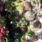 WP_20150604_001